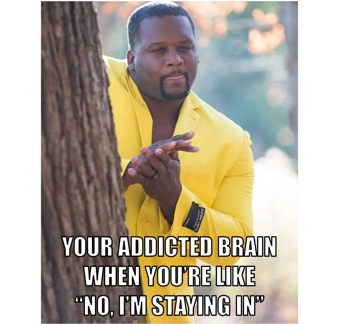 Your Addicted Brain