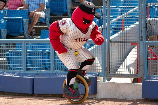 How to Make Friends at a Minor League Baseball Game